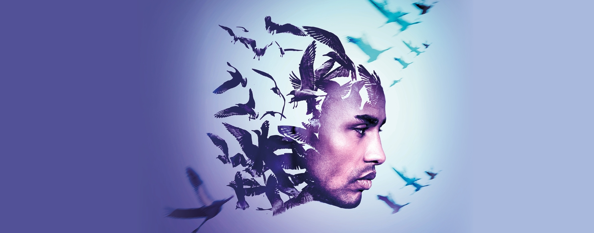 A face on a blue background with shapes of birds around the head