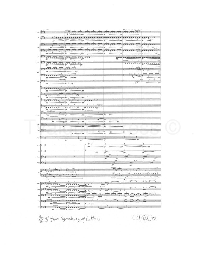 S from Symphony of Letters
